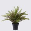 Artificial Table Plants 28*28*33cm Persian leaf in PP pot GS-43225008 2026Apr YeahFlower is one of Chinese leading OEM manufacturers and exporters , supplying the silk flowers, wholesale artificial trees