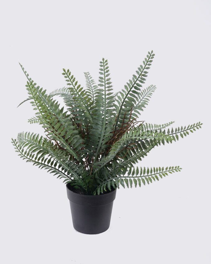 Artificial Table Plants 28*28*33cm Persian leaf in PP pot GS-43225008 2026Apr YeahFlower is one of Chinese leading OEM manufacturers and exporters , supplying the silk flowers, wholesale artificial trees