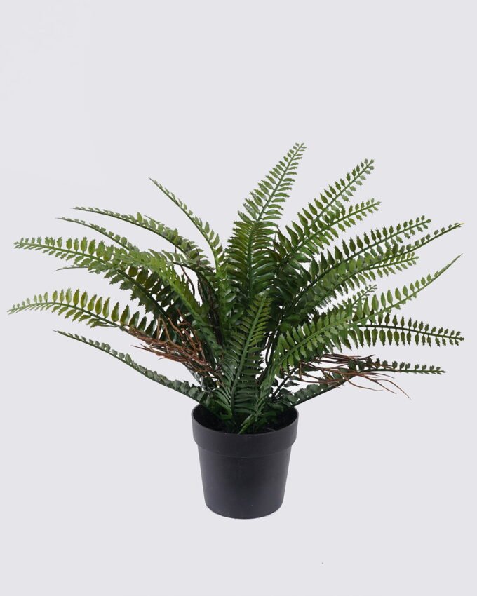 Artificial Table Plants 28*28*33cm Persian leaf in PP pot GS-43225008 2026Apr YeahFlower is one of Chinese leading OEM manufacturers and exporters , supplying the silk flowers, wholesale artificial trees