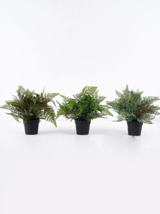Artificial Flower 30*30*62cm Wolf tail Leaf *3 bundle GS-43225004 2026Apr 3,000+ sqm showroom with thousands of artificial flowers, plants & trees ready for global sourcing.