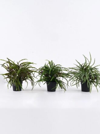 Artificial Table Plants 30*30*37cm Rosemary in PP pot GS-43225006 2026Apr 3,000+ sqm showroom with thousands of artificial flowers, plants & trees ready for global sourcing.