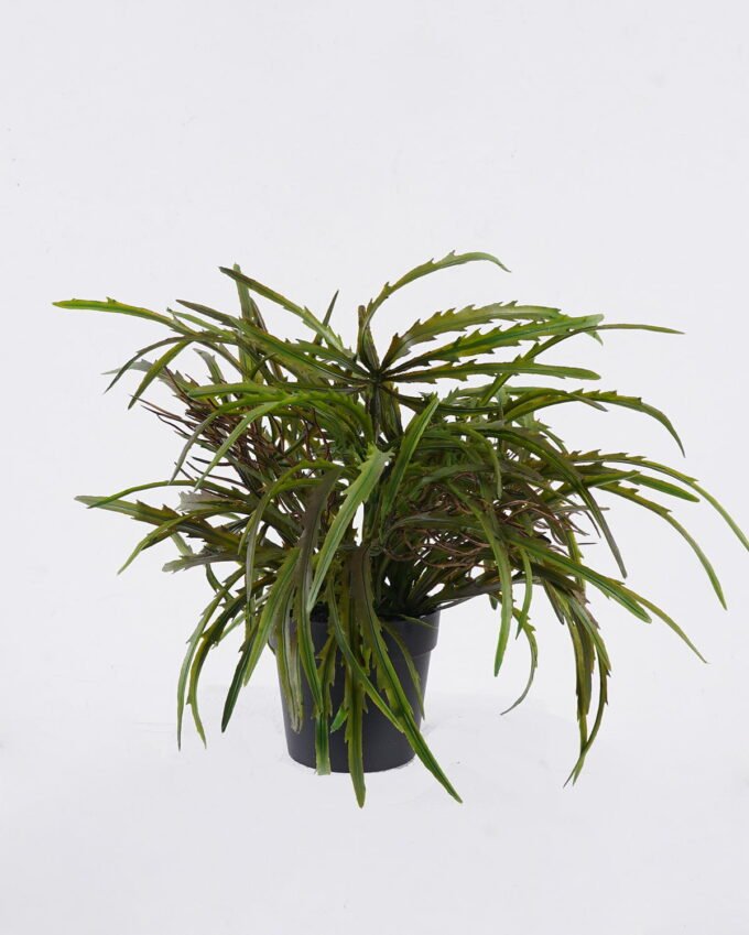 Artificial Table Plants Pteris multifida in PP pot GS-43225007_3 Artificial Table Plants 25*25*31cm Pteris multifida in PP pot GS-43225007 2026Apr YeahFlower is one of Chinese leading OEM manufacturers and exporters , supplying the silk flowers, wholesale artificial trees