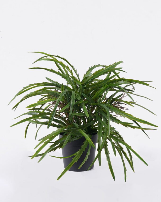 Artificial Table Plants Pteris multifida in PP pot GS-43225007_5 Artificial Table Plants 25*25*31cm Pteris multifida in PP pot GS-43225007 2026Apr YeahFlower is one of Chinese leading OEM manufacturers and exporters , supplying the silk flowers, wholesale artificial trees