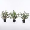 Artificial Table Plants 30*30*37cm Rosemary in PP pot GS-43225006 2026Apr YeahFlower is one of Chinese leading OEM manufacturers and exporters , supplying the silk flowers, wholesale artificial trees