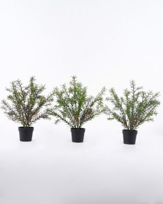 Artificial Table Plants 30*30*37cm Rosemary in PP pot GS-43225006 2026Apr YeahFlower is one of Chinese leading OEM manufacturers and exporters , supplying the silk flowers, wholesale artificial trees