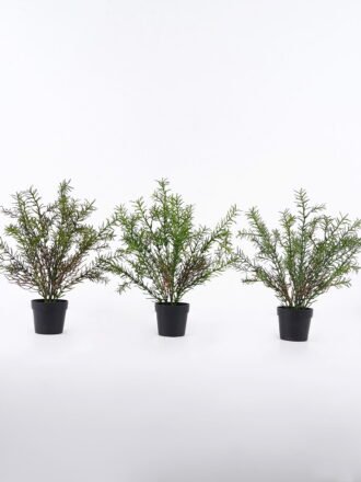 Artificial Table Plants 25*25*30cm Pine tree in PP pot GS-43225005 2026Apr 3,000+ sqm showroom with thousands of artificial flowers, plants & trees ready for global sourcing.