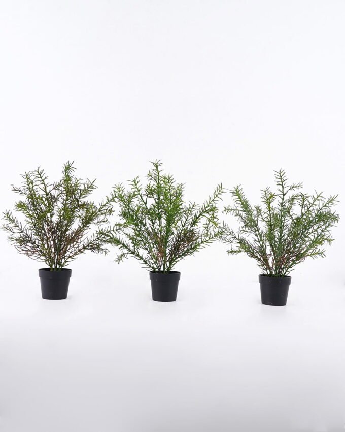 Artificial Table Plants 30*30*37cm Rosemary in PP pot GS-43225006 2026Apr YeahFlower is one of Chinese leading OEM manufacturers and exporters , supplying the silk flowers, wholesale artificial trees