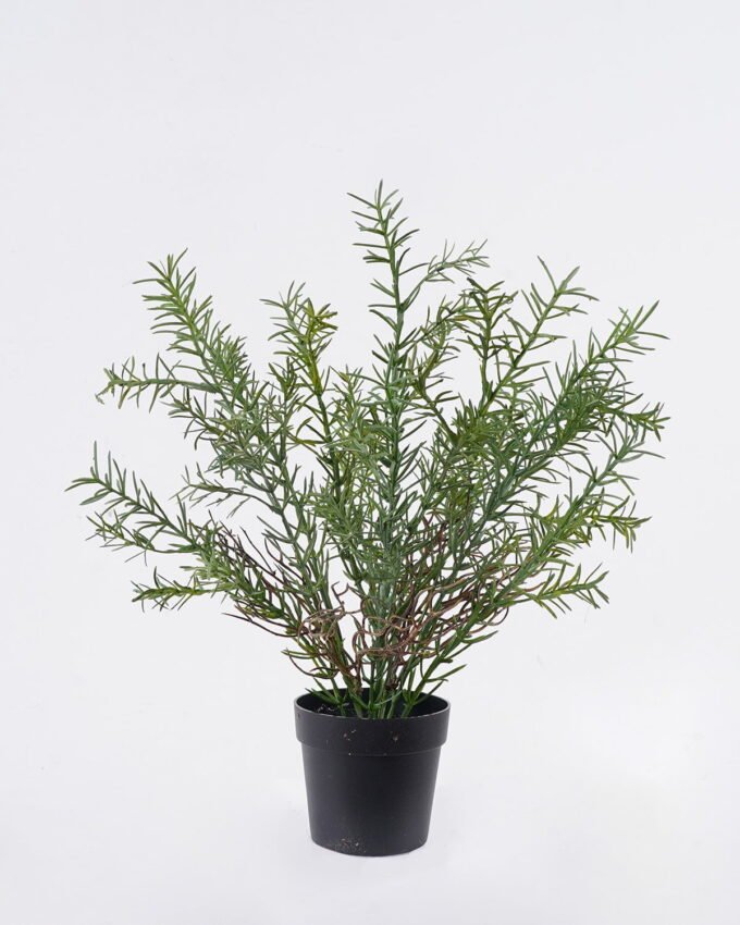 Artificial Table Plants 30*30*37cm Rosemary in PP pot GS-43225006 2026Apr YeahFlower is one of Chinese leading OEM manufacturers and exporters , supplying the silk flowers, wholesale artificial trees