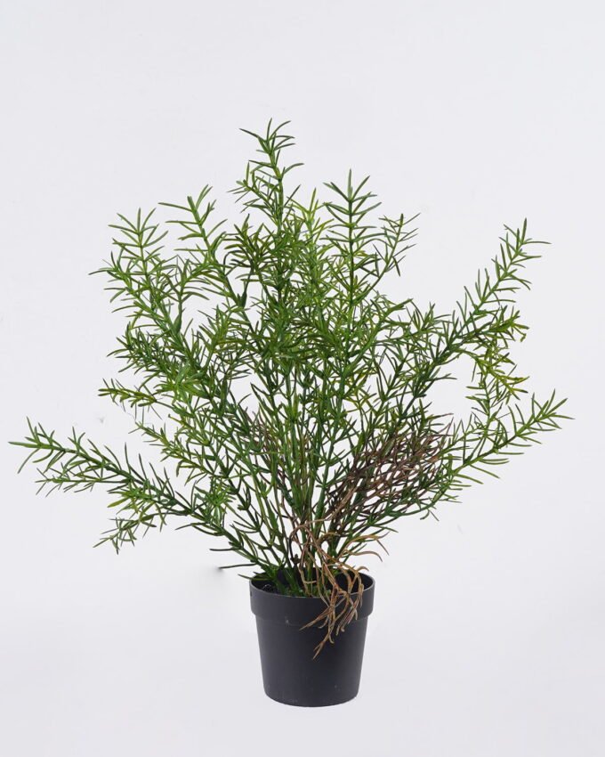 Artificial Table Plants 30*30*37cm Rosemary in PP pot GS-43225006 2026Apr YeahFlower is one of Chinese leading OEM manufacturers and exporters , supplying the silk flowers, wholesale artificial trees