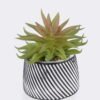 Artificial Table Plants 10*10*13cm Succulent plants  in cemnet pot GS-82525026 2026May 3,000+ sqm showroom with thousands of artificial flowers, plants & trees ready for global sourcing.