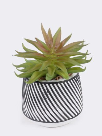 Artificial Table Plants 10*10*13cm Succulent plants  in cemnet pot GS-82525027 2026May 3,000+ sqm showroom with thousands of artificial flowers, plants & trees ready for global sourcing.