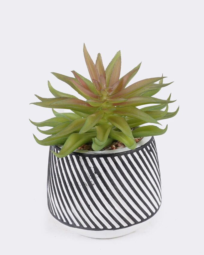 Artificial Table Plants 10*10*13cm Succulent plants  in cemnet pot GS-82525026 2026May 3,000+ sqm showroom with thousands of artificial flowers, plants & trees ready for global sourcing.