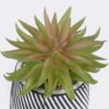 Artificial Table Plants 10*10*13cm Succulent plants  in cemnet pot GS-82525026 2026May 3,000+ sqm showroom with thousands of artificial flowers, plants & trees ready for global sourcing.