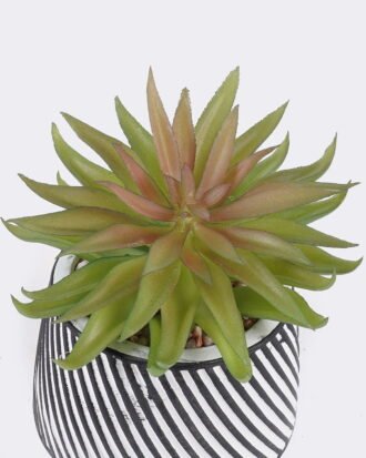 Artificial Table Plants 10*10*13cm Succulent plants  in cemnet pot GS-82525026 2026May 3,000+ sqm showroom with thousands of artificial flowers, plants & trees ready for global sourcing.