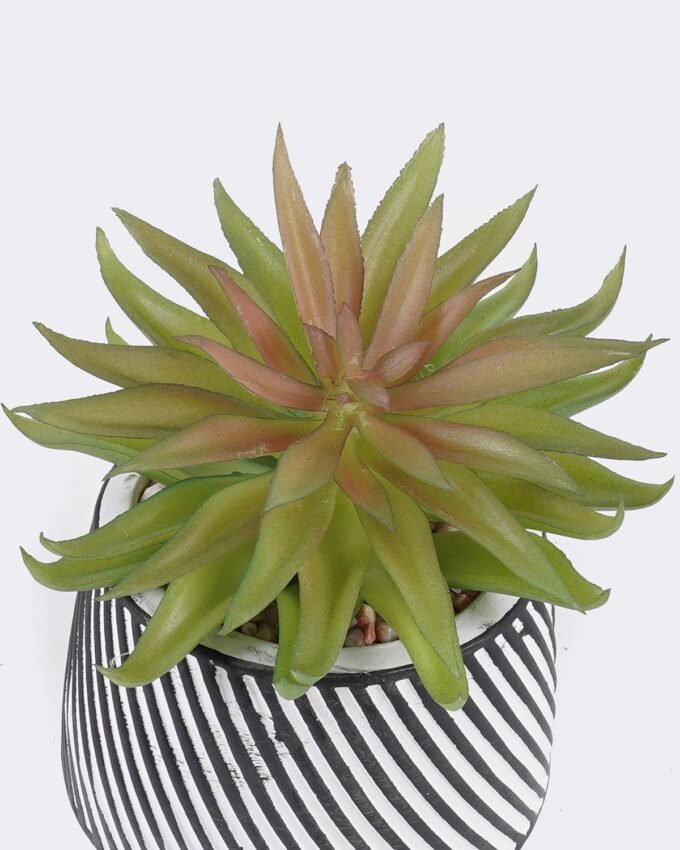 Artificial Table Plants 10*10*13cm Succulent plants  in cemnet pot GS-82525026 2026May 3,000+ sqm showroom with thousands of artificial flowers, plants & trees ready for global sourcing.