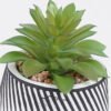 Artificial Table Plants Succulent plants in cemnet pot GS-82525027_5 Artificial Table Plants 10*10*13cm Succulent plants in cemnet pot GS-82525027 2026May 3,000+ sqm showroom with thousands of artificial flowers, plants & trees ready for global sourcing.