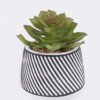Artificial Table Plants 10*10*13cm Succulent plants  in cemnet pot GS-82525028 2026May 3,000+ sqm showroom with thousands of artificial flowers, plants & trees ready for global sourcing.