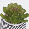 Artificial Table Plants 10*10*13cm Succulent plants  in cemnet pot GS-82525028 2026May 3,000+ sqm showroom with thousands of artificial flowers, plants & trees ready for global sourcing.