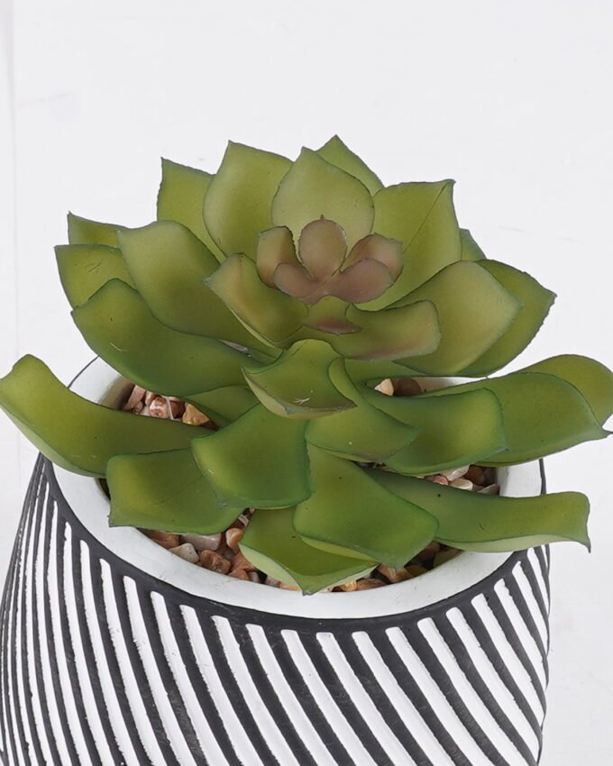 Artificial Table Plants 10*10*13cm Succulent plants  in cemnet pot GS-82525028 2026May 3,000+ sqm showroom with thousands of artificial flowers, plants & trees ready for global sourcing.