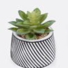 Artificial Table Plants Succulent plants in cemnet pot GS-82525029_4 Artificial Table Plants 10*10*13cm Succulent plants in cemnet pot GS-82525029 2026May 3,000+ sqm showroom with thousands of artificial flowers, plants & trees ready for global sourcing.