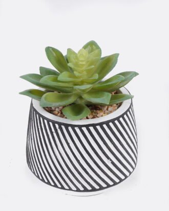 Artificial Table Plants 10*10*13cm Succulent plants  in cemnet pot GS-82525029 2026May 3,000+ sqm showroom with thousands of artificial flowers, plants & trees ready for global sourcing.