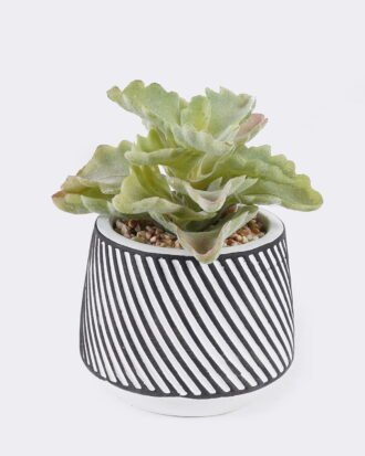 Artificial Table Plants 10*10*13cm Succulent plants  in cemnet pot GS-82525030 2026May 3,000+ sqm showroom with thousands of artificial flowers, plants & trees ready for global sourcing.