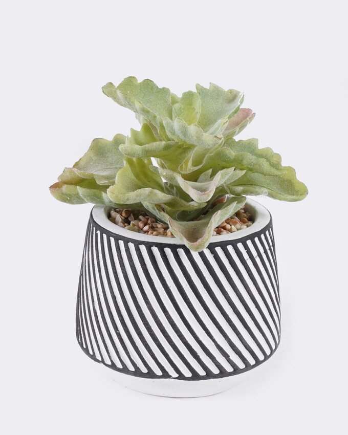 Artificial Table Plants 10*10*13cm Succulent plants  in cemnet pot GS-82525030 2026May 3,000+ sqm showroom with thousands of artificial flowers, plants & trees ready for global sourcing.