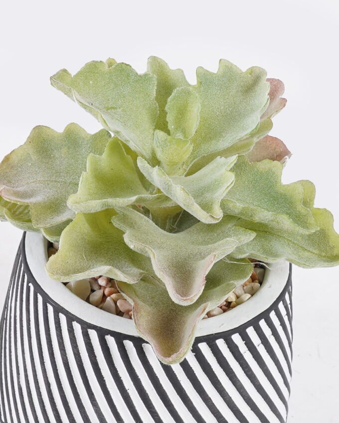 Artificial Table Plants 10*10*13cm Succulent plants  in cemnet pot GS-82525030 2026May 3,000+ sqm showroom with thousands of artificial flowers, plants & trees ready for global sourcing.