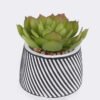 Artificial Table Plants 10*10*13cm Succulent plants  in cemnet pot GS-82525031 2026May 3,000+ sqm showroom with thousands of artificial flowers, plants & trees ready for global sourcing.