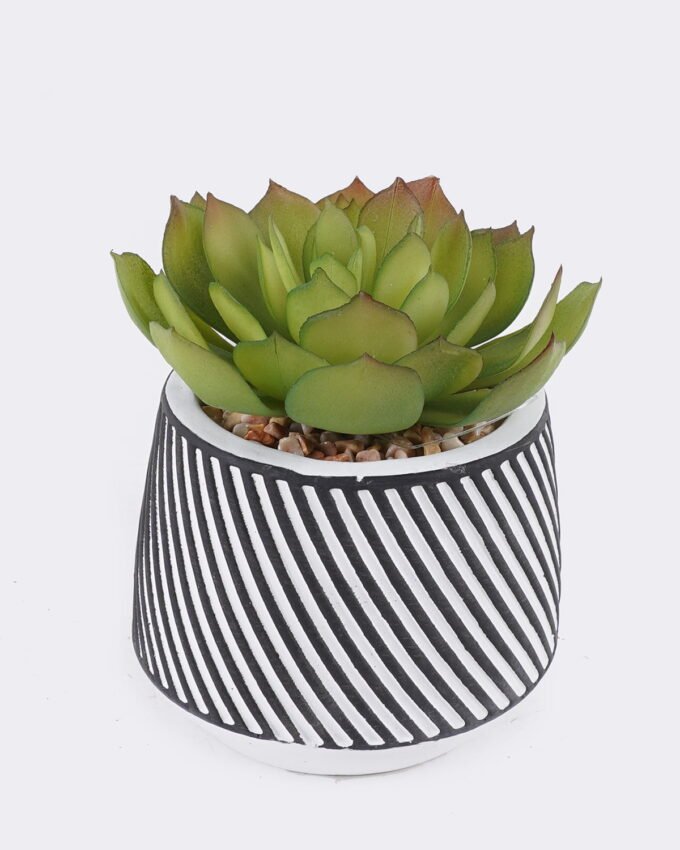 Artificial Table Plants 10*10*13cm Succulent plants  in cemnet pot GS-82525031 2026May 3,000+ sqm showroom with thousands of artificial flowers, plants & trees ready for global sourcing.