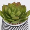 Artificial Table Plants 10*10*13cm Succulent plants  in cemnet pot GS-82525031 2026May 3,000+ sqm showroom with thousands of artificial flowers, plants & trees ready for global sourcing.