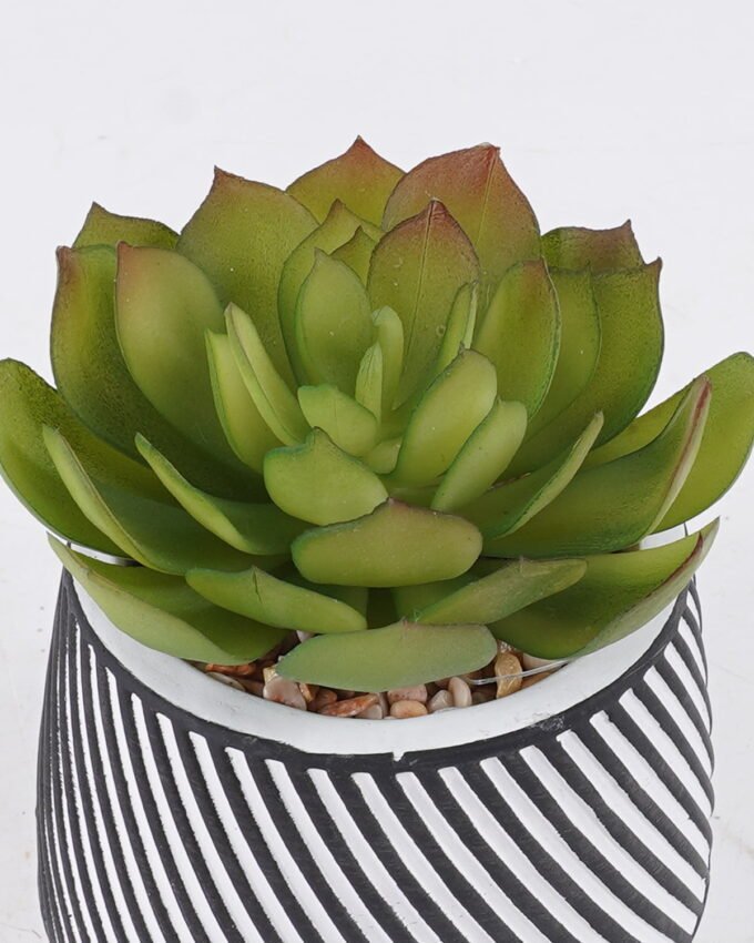 Artificial Table Plants 10*10*13cm Succulent plants  in cemnet pot GS-82525031 2026May 3,000+ sqm showroom with thousands of artificial flowers, plants & trees ready for global sourcing.