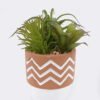 Artificial Table Plants Succulent plants in cemnet pot GS-82525032_3 Artificial Table Plants 12*10*18cm Succulent plants in cemnet pot GS-82525032 2026May 3,000+ sqm showroom with thousands of artificial flowers, plants & trees ready for global sourcing.