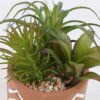 Artificial Table Plants Succulent plants in cemnet pot GS-82525032_5 Artificial Table Plants 12*10*18cm Succulent plants in cemnet pot GS-82525032 2026May 3,000+ sqm showroom with thousands of artificial flowers, plants & trees ready for global sourcing.