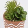 Artificial Table Plants Succulent plants in cemnet pot GS-82525033_5 Artificial Table Plants 12*10*18cm Succulent plants in cemnet pot GS-82525033 2026May 3,000+ sqm showroom with thousands of artificial flowers, plants & trees ready for global sourcing.