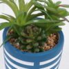 Artificial Table Plants Succulent plants in cemnet pot GS-82525034_5 Artificial Table Plants 12*10*18cm Succulent plants in cemnet pot GS-82525034 2026May 3,000+ sqm showroom with thousands of artificial flowers, plants & trees ready for global sourcing.