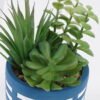 Artificial Table Plants Succulent plants in cemnet pot GS-82525036_5 Artificial Table Plants 12*10*18cm Succulent plants in cemnet pot GS-82525036 2026May 3,000+ sqm showroom with thousands of artificial flowers, plants & trees ready for global sourcing.