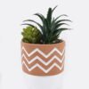 Artificial Table Plants Succulent plants in cemnet pot GS-82525037_3 Artificial Table Plants 12*10*18cm Succulent plants in cemnet pot GS-82525037 2026May 3,000+ sqm showroom with thousands of artificial flowers, plants & trees ready for global sourcing.
