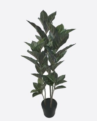Artificial Tree 110cm Clerodendrum quadriloculare in PP pot/57 lvs GS-35325002 2026Apr YeahFlower is one of Chinese leading OEM manufacturers and exporters , supplying the silk flowers, wholesale artificial trees Artificial Tree 110cm Clerodendrum quadriloculare in PP pot/57 lvs GS-35325002 2026Apr YeahFlower is one of Chinese leading OEM manufacturers and exporters , supplying the silk flowers, wholesale artificial trees