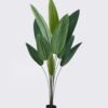 Artificial Tree 160cm Canna in PP pot/10 lvs GS-35325004 2026Apr YeahFlower is one of Chinese leading OEM manufacturers and exporters , supplying the silk flowers, wholesale artificial trees