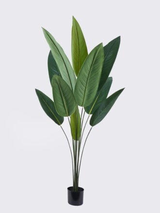 Artificial Tree 200cm Canna in PP pot/12 lvs GS-35325005 2026Apr 3,000+ sqm showroom with thousands of artificial flowers, plants & trees ready for global sourcing.