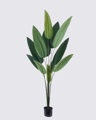 Artificial Tree 200cm Canna in PP pot/12 lvs GS-35325005 2026Apr YeahFlower is one of Chinese leading OEM manufacturers and exporters , supplying the silk flowers, wholesale artificial trees Artificial Tree 200cm Canna in PP pot/12 lvs GS-35325005 2026Apr YeahFlower is one of Chinese leading OEM manufacturers and exporters , supplying the silk flowers, wholesale artificial trees