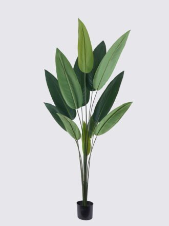Artificial Tree 160cm Canna in PP pot/10 lvs GS-35325004 2026Apr 3,000+ sqm showroom with thousands of artificial flowers, plants & trees ready for global sourcing.