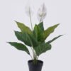 Artificial Tree 56cm Spathiphyllum kochii *2 in PP pot/10 lvs GS-35325006 2026Apr YeahFlower is one of Chinese leading OEM manufacturers and exporters , supplying the silk flowers, wholesale artificial trees