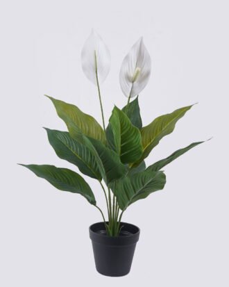 Artificial Tree 56cm Spathiphyllum kochii *2 in PP pot/10 lvs GS-35325006 2026Apr YeahFlower is one of Chinese leading OEM manufacturers and exporters , supplying the silk flowers, wholesale artificial trees Artificial Tree 56cm Spathiphyllum kochii *2 in PP pot/10 lvs GS-35325006 2026Apr YeahFlower is one of Chinese leading OEM manufacturers and exporters , supplying the silk flowers, wholesale artificial trees