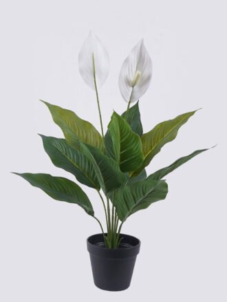 Artificial Tree 200cm Canna in PP pot/12 lvs GS-35325005 2026Apr 3,000+ sqm showroom with thousands of artificial flowers, plants & trees ready for global sourcing.