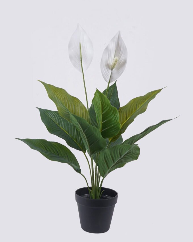 Artificial Tree 56cm Spathiphyllum kochii *2 in PP pot/10 lvs GS-35325006 2026Apr YeahFlower is one of Chinese leading OEM manufacturers and exporters , supplying the silk flowers, wholesale artificial trees