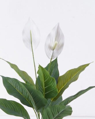 Artificial Tree 56cm Spathiphyllum kochii *2 in PP pot/10 lvs GS-35325006 2026Apr YeahFlower is one of Chinese leading OEM manufacturers and exporters , supplying the silk flowers, wholesale artificial trees Artificial Tree 56cm Spathiphyllum kochii *2 in PP pot/10 lvs GS-35325006 2026Apr YeahFlower is one of Chinese leading OEM manufacturers and exporters , supplying the silk flowers, wholesale artificial trees