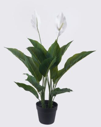 Artificial Tree 80cm Spathiphyllum kochii *2 in PP pot/18 lvs GS-35325007 2026Apr YeahFlower is one of Chinese leading OEM manufacturers and exporters , supplying the silk flowers, wholesale artificial trees Artificial Tree 80cm Spathiphyllum kochii *2 in PP pot/18 lvs GS-35325007 2026Apr YeahFlower is one of Chinese leading OEM manufacturers and exporters , supplying the silk flowers, wholesale artificial trees