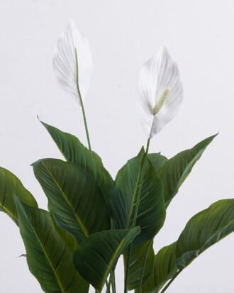 Artificial Tree 80cm Spathiphyllum kochii *2 in PP pot/18 lvs GS-35325007 2026Apr YeahFlower is one of Chinese leading OEM manufacturers and exporters , supplying the silk flowers, wholesale artificial trees Artificial Tree 80cm Spathiphyllum kochii *2 in PP pot/18 lvs GS-35325007 2026Apr YeahFlower is one of Chinese leading OEM manufacturers and exporters , supplying the silk flowers, wholesale artificial trees